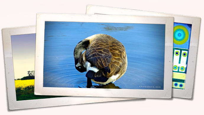 the-vibes-photography-preview The Vibes photography preview