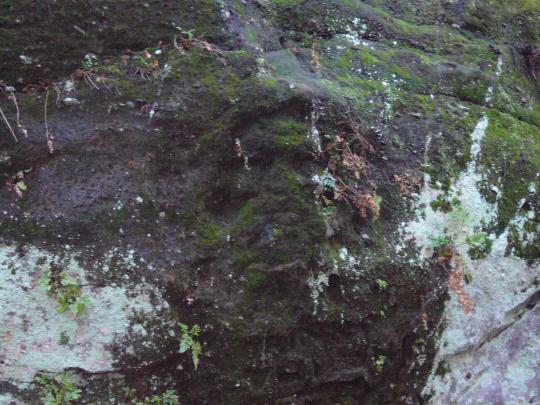 Merlin face stone carving