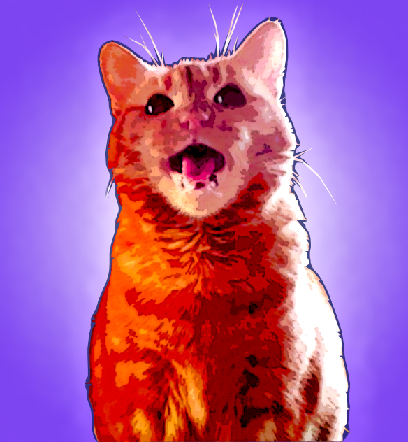 Sparky Sings singing cat