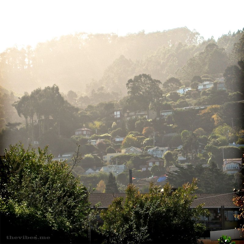 Sunshine in sausalito the vibes