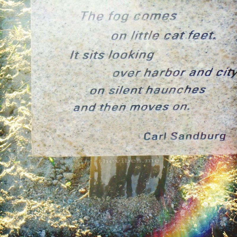 Fog poem Golden Gate Beach the vibes