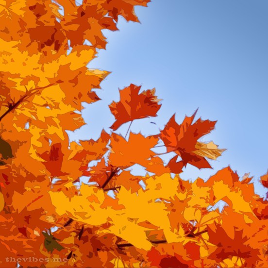 Autumn Leaves Cartoon