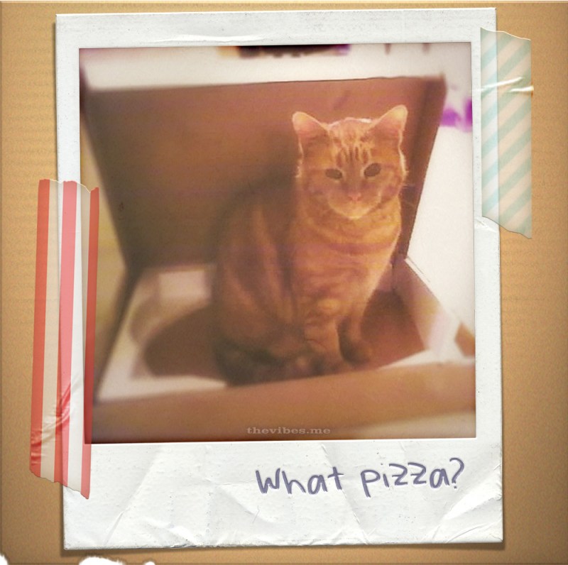 Sparky Pizza Cat by Mark Wallis on The Vibes