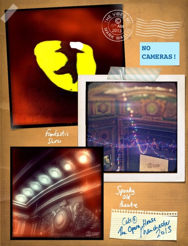 Cats at The Opera House Manchester