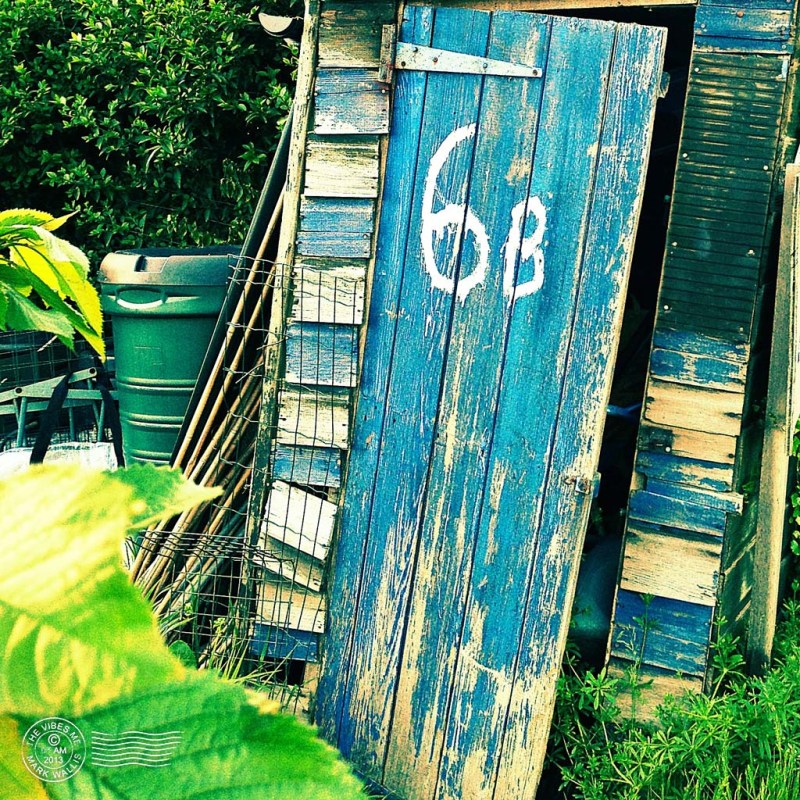 Blue shed on a Manchester Allotment