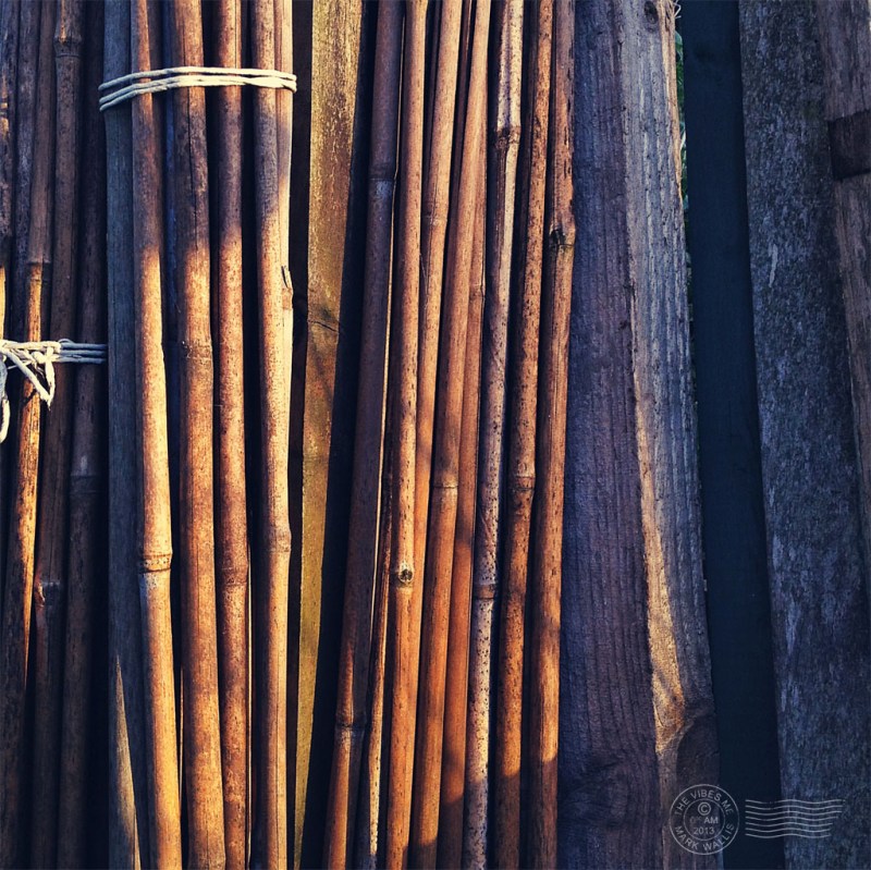 Garden canes on a Chorlton allotment