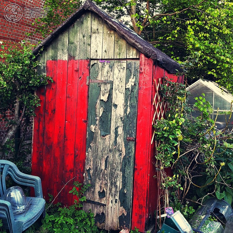 Shed on a Manchester allotment