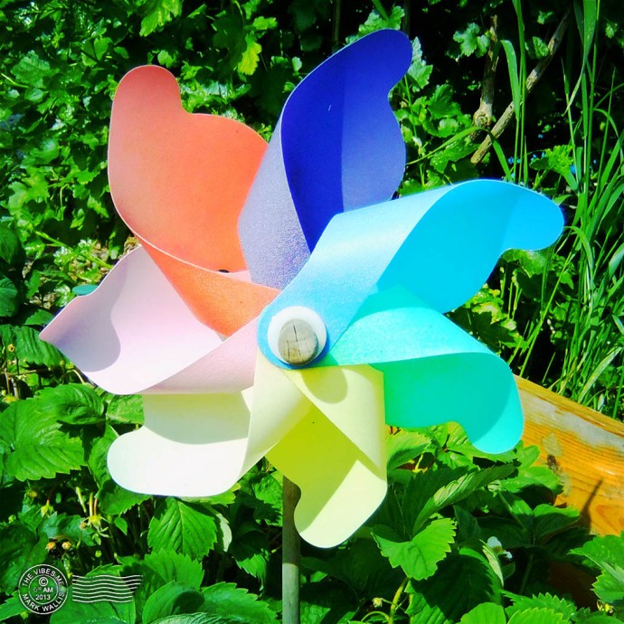 windmill cleveleys allotment Chorlton