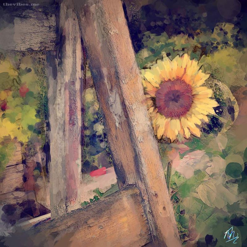 Sunflower - Digital Painting by Mark Wallis at The Vibes