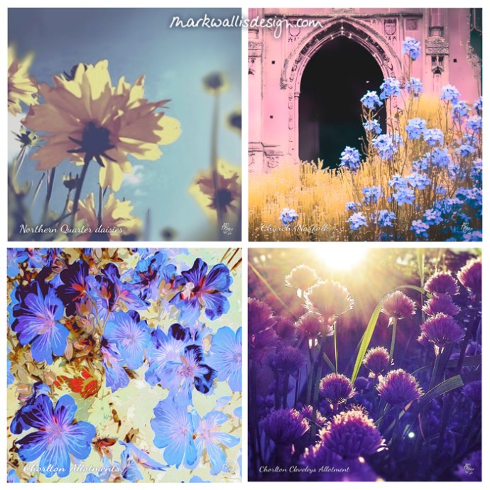 Mark Wallis Design Blooming Summer greetings cards
